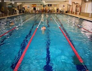 a group of people swimming in a swimming pool at Cliff End Self catering bungalow with sea views in beautiful rural West Wight Free WiFi and ferry offers available Short walk to beach in Isle of Wight