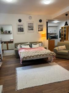 A kitchen or kitchenette at Varsányi Home- extra location in the heart of Buda