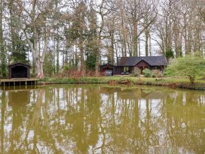 a house next to a lake with trees at Woodpeckers in Cullompton