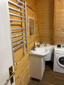 a bathroom with a sink and a washing machine at Sara in Malo Polje