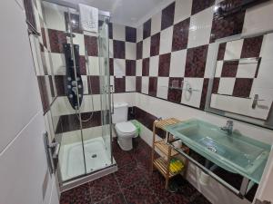 a bathroom with a shower and a toilet and a sink at Habitaciones y Estudios Miramar in Bolonia +15 photos