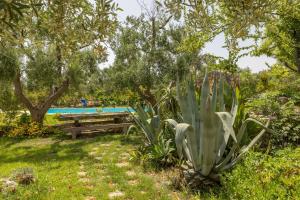 A garden outside Villa Verdena - Carovigno