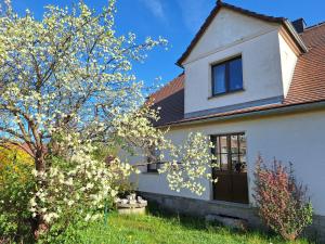 Zahrada ubytování Ferienwohnung am Auenweg