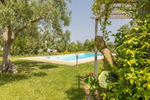 The swimming pool at or close to Villa Verdena - Carovigno