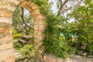 A garden outside Villa Verdena - Carovigno