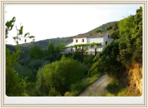 a house on top of a hill with a dirt road at Finca Rústica La Pájara in Iznatoraf