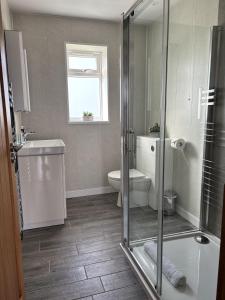a bathroom with a shower and a toilet and a window at Math Holiday Cottage in Pentraeth +11 photos