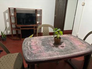 TV a/nebo společenská místnost v ubytování Gleeful Hostel