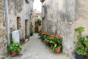 an alley with flowers in pots on the side of a building at Appartamenti Le Giare Cannicchio in Cannicchio