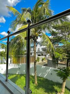 a view of a palm tree from a balcony at Trou aux Biches Cosy House in Trou aux Biches +7 photos