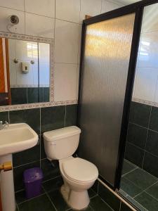 um banheiro com vaso sanitário e pia em Tierras del Sol em Quilpué mais 7 fotografias