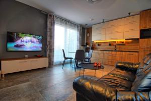 シフィエラドゥフ・ズドルイにあるApartament Nr 5 , tuż przy gondoliの革張りのソファとテレビのあるリビングルーム