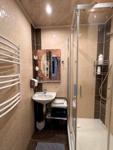 Ένα μπάνιο στο Central Daugavpils Apartment