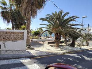 a street with palm trees on the side of a road at Oasis Las Eras, Tenerife in Las Eras