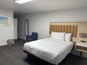 Ένα ή περισσότερα κρεβάτια σε δωμάτιο στο Hotel Da Vinci +11 φωτογραφίες