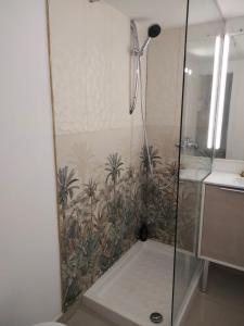 a shower with a glass door in a bathroom at Nid Douillet in Neuilly-sur-Marne