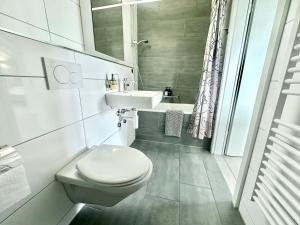 un bagno bianco con un water e un lavandino di Loft apartment in a central location a Winterthur