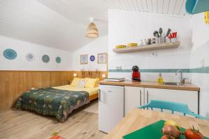a small room with a bed and a kitchen at Štalica Little Barn in Mala Učka