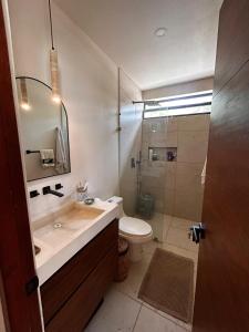 a bathroom with a sink and a toilet and a shower at Caribe Apartments in Mahahual