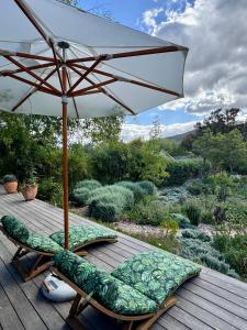 Un jardín fuera de Kamala Karoo Sanctuary 89 fotos más