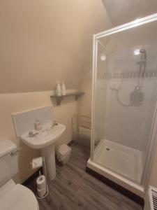 a bathroom with a shower and a toilet and a sink at Braelea in Spean Bridge