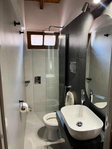 a bathroom with a white toilet and a sink at Amplio departamento monoambiente a metros del parque general San Martín in Mendoza