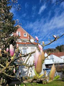 Zahrada ubytování Haus Am Beckerberg im Harz