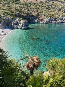 a beach with turquoise water and a palm tree at Case Vacanza Loria in Castelluzzo