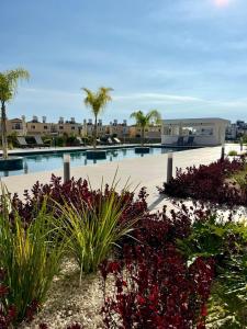 a large swimming pool with palm trees and plants at Stay and Chill -Luxury Studio in Kato Paphos in Paphos City +32 photos