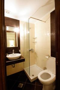 a bathroom with a shower and a toilet and a sink at Theros Hotel in Tavronitis