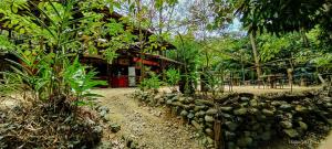 埃尔扎伊诺Barranquero Hotel的拥有一束植物和一座建筑的度假胜地