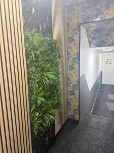 プレストンにあるMoor Park Apartmentsの工場内壁 +7枚の写真