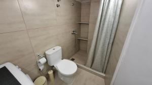 mała łazienka z toaletą i prysznicem w obiekcie Antonys Apartment Sea View II (1st floor) w mieście Tyros +13 zdjęć