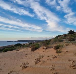 ein Sandstrand mit dem Meer im Hintergrund in der Unterkunft Oasi del Relax - Seaside Peaceful Panoramic Terrace in ITALY - new Sardinia apartment 50 mt beach&sea full comfort air conditioning-WiFi-Parking-Privacy in Torre Dei Corsari