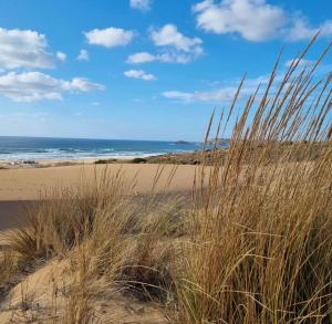 einen Sandstrand mit hoher Wiese und Meer in der Unterkunft Oasi del Relax - Seaside Peaceful Panoramic Terrace in ITALY - new Sardinia apartment 50 mt beach&sea full comfort air conditioning-WiFi-Parking-Privacy in Torre Dei Corsari