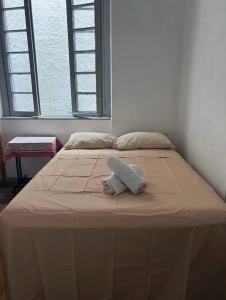 阿雷格里港Hostel Proximo a Shopping total - Rodoviaria - Hosp Presidente Vargas的一张大床,上面有一条毛巾