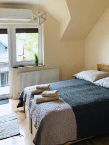 a bedroom with two beds and a window at Znowu wrócisz in Białogóra