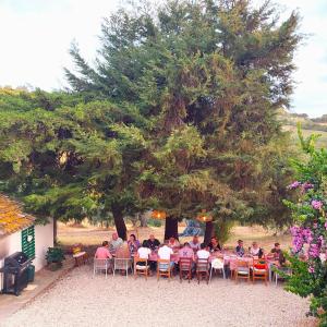 a group of people sitting at tables under a tree at Villa Ferranti Abruzzo in Montefino +30 photos