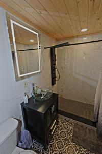 a bathroom with a sink and a shower at Private Hot tub new 2 Bedroom Home in Catskills in Elka Park