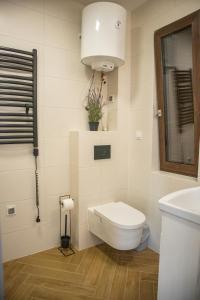 a bathroom with a toilet and a sink at Lavanda Apartamenty in Chłopy