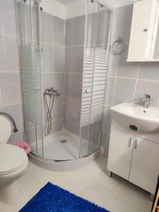 a bathroom with a shower and a toilet and a sink at Stam Luxury Traditional House in Koskinou