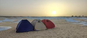 two tents sitting on the sand on a beach at Camp White Desert in Bawati