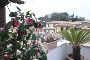 Giardino di Ronciglione Home di F & E
