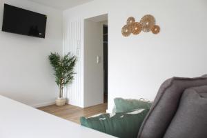 ein Wohnzimmer mit einer Couch und einer Pflanze in der Unterkunft Valbom Hideaway Light, Style and Peace in Valbom