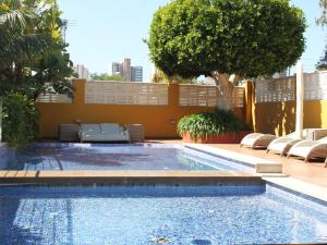 a swimming pool with chairs and a tree at The Cookbook Gastro Boutique Hotel & SPA in Calpe