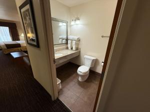 a bathroom with a toilet and a sink and a mirror at Richland Inn and Suites in Sidney +17 photos