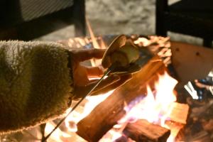 Facilități de grătar disponibile la această vilă