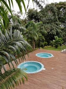 Fotografie z fotogalerie ubytování Cielo Verde Lodge v destinaci Mashpi