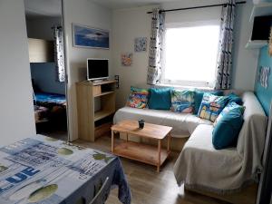 MOBIL HOME à SEIGNOSSE dans les Landes près de la mer的电视和/或娱乐中心