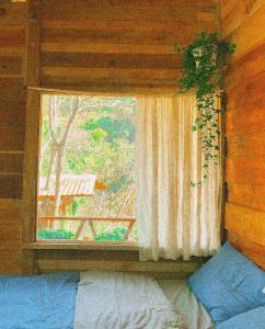 Fotografie z fotogalerie ubytování An homestay - forest healing v destinaci Ấp Ða Lợi